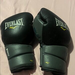 Everlast Dark Gray Boxing Gloves
